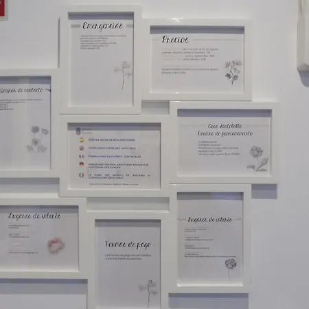 Apartment Casa Santolaya